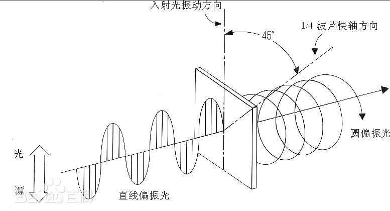 圆偏振和线偏振的区别