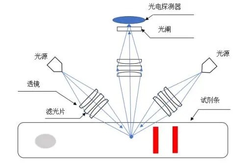 荧光层析仪非共聚焦光路