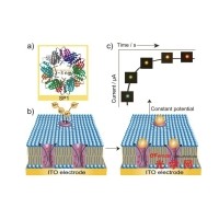 利用单纳米粒子散射光谱技术实时追踪生物分子